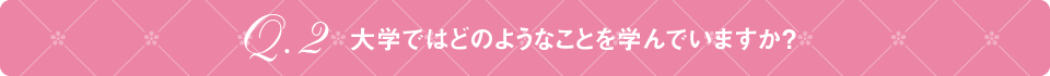 Q2 大学ではどのようなことを学んでいますか?